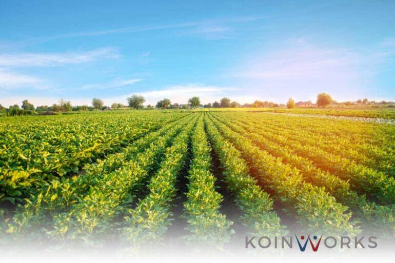 tanah-harga-ladang-kebun-investasi