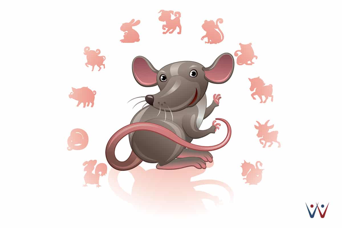 peruntungan shio 2018 (9) - tikus