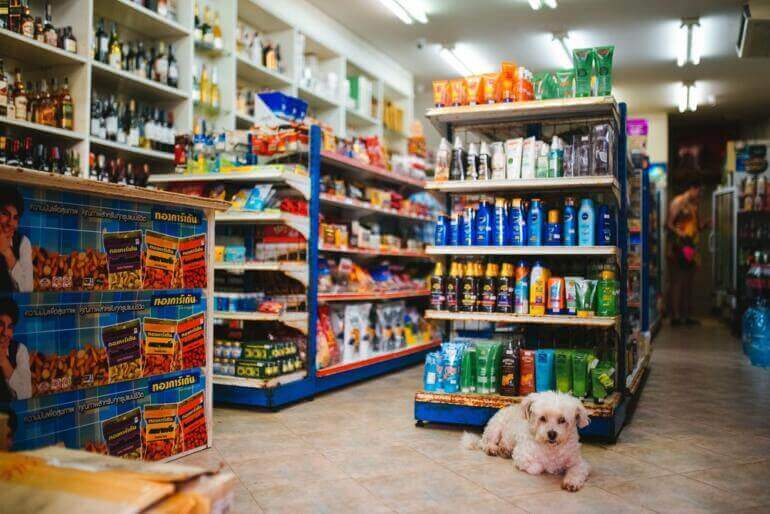 6 Cara Jitu Mengembangkan Cabang Bisnis Pet Shop